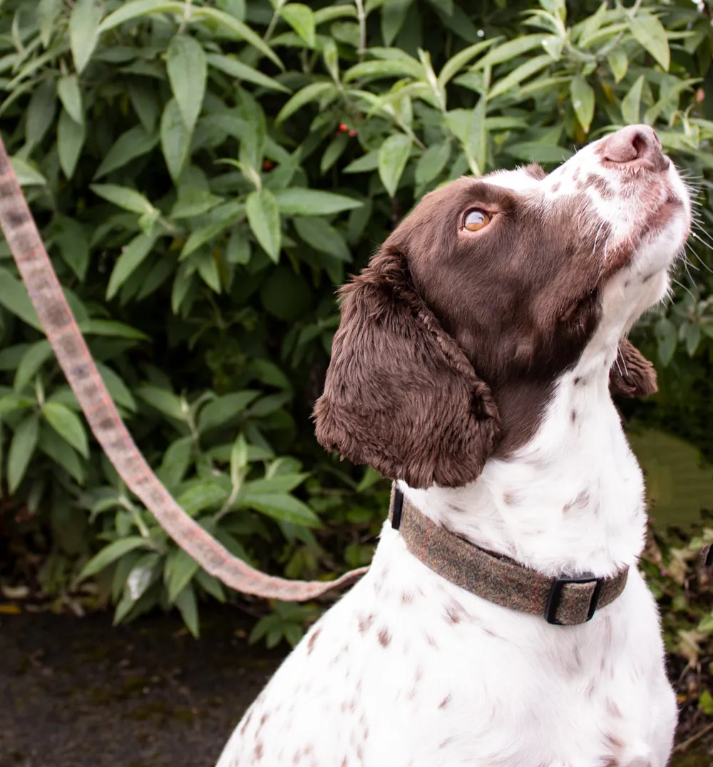 Dog Collar - Brown Waxed Tweed