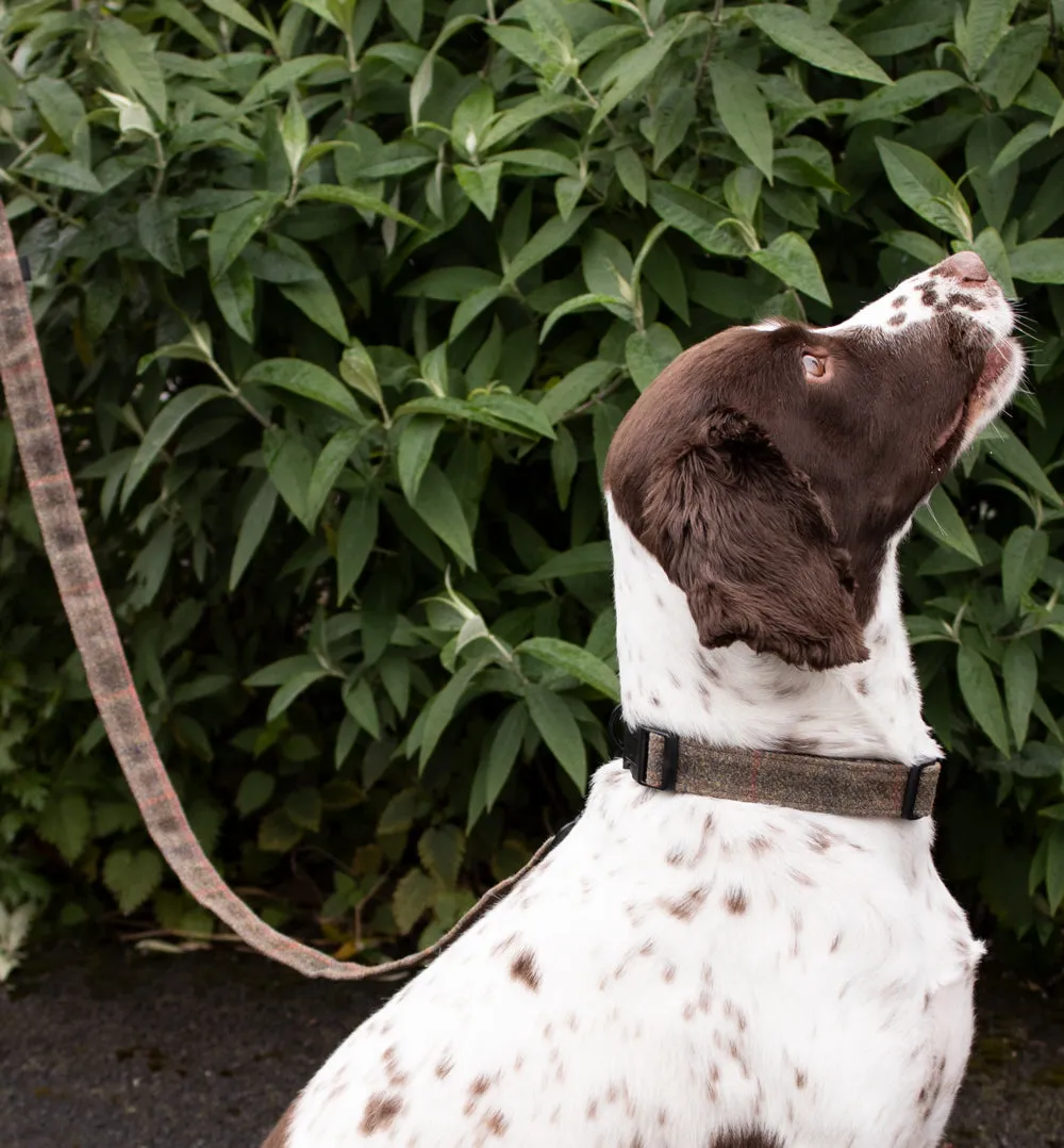 Dog Lead - Brown Waxed Tweed