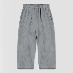 Noah pants in grey