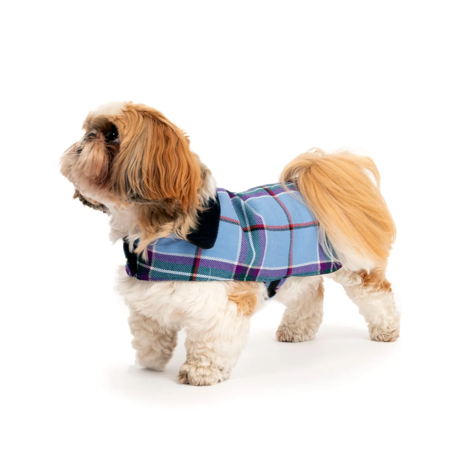 World Peace Tartan Dog Coat World Peace Tartan