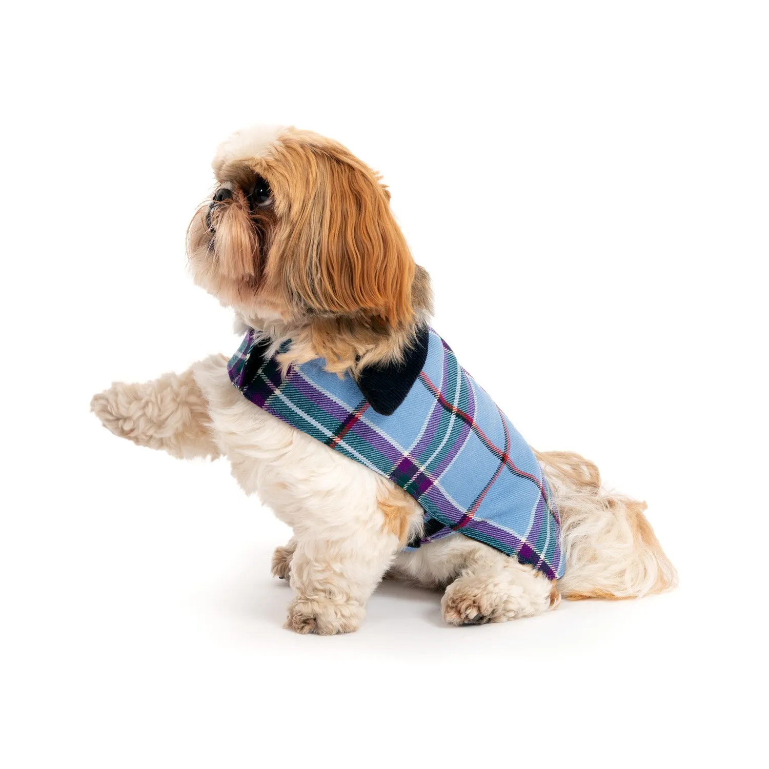 World Peace Tartan Dog Coat World Peace Tartan